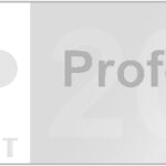 Professional Partner 2021_grau