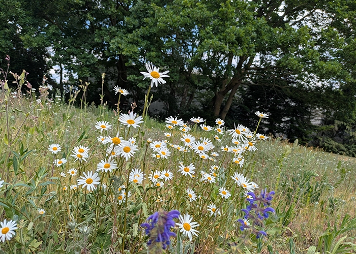 STADEL Nachhaltigkeit